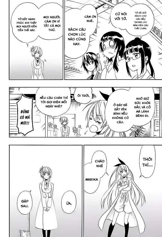 Nisekoi Chapter 195 - Trang 5