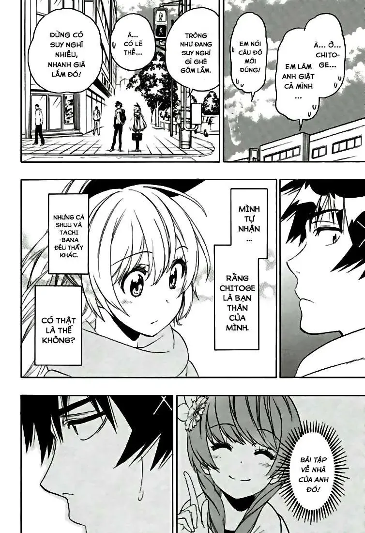 Nisekoi Chapter 196 - Trang 12