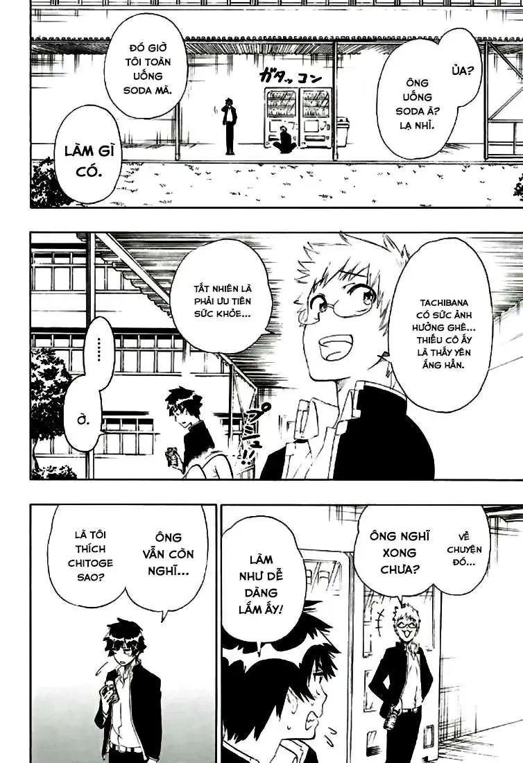 Nisekoi Chapter 196 - Trang 14