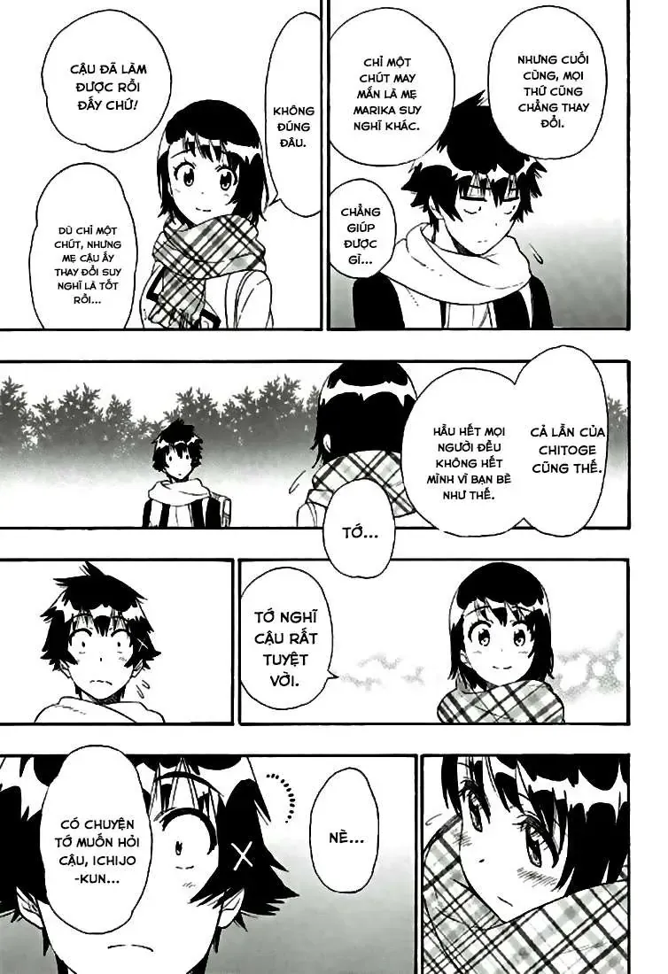 Nisekoi Chapter 196 - Trang 19