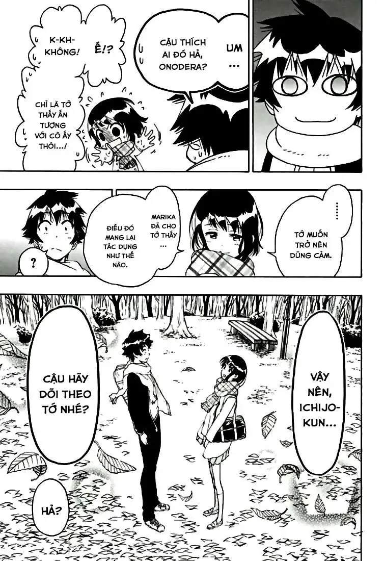 Nisekoi Chapter 196 - Trang 23