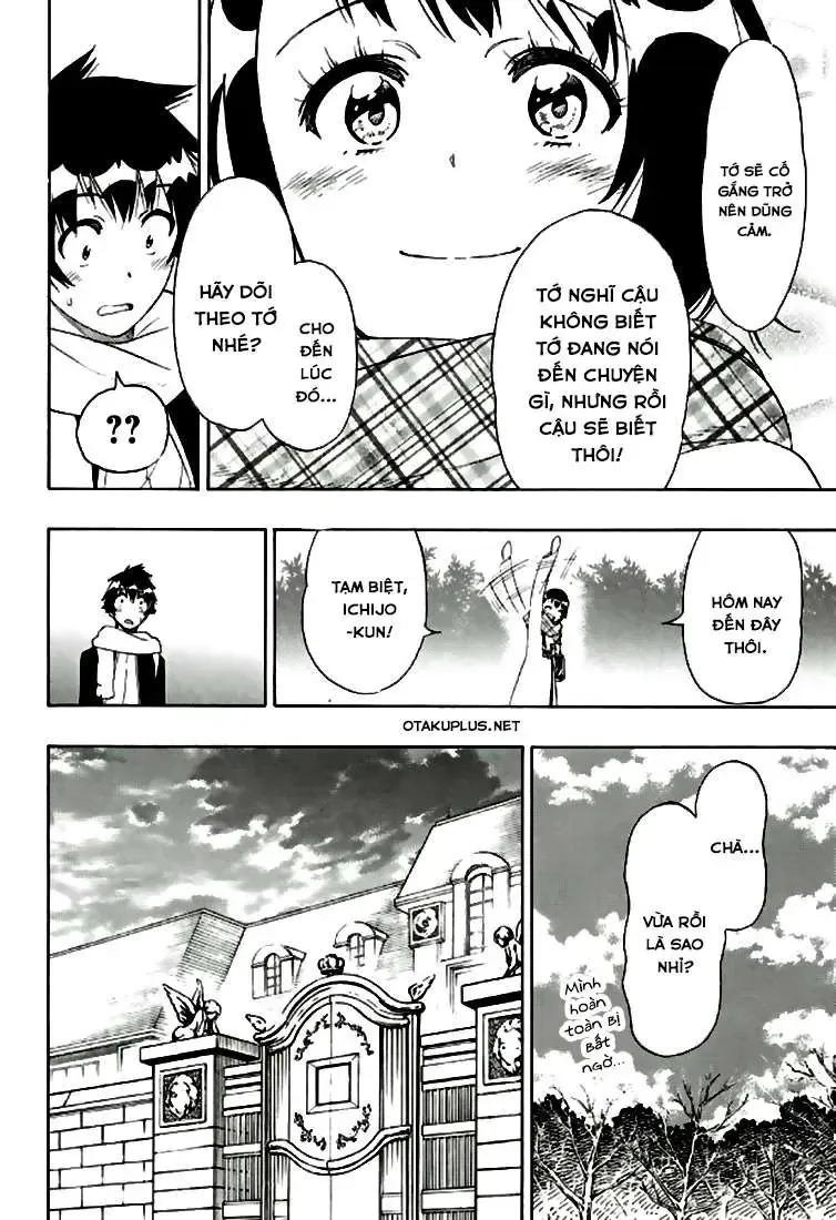 Nisekoi Chapter 196 - Trang 24