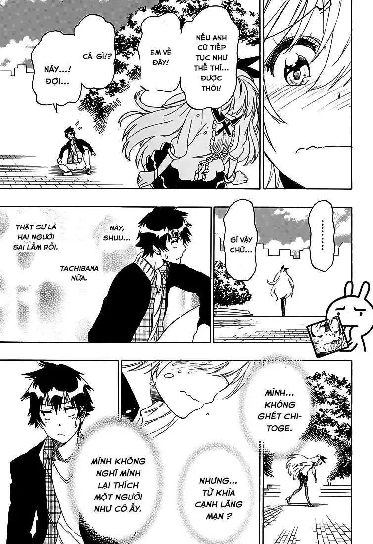 Nisekoi Chapter 197 - Trang 18