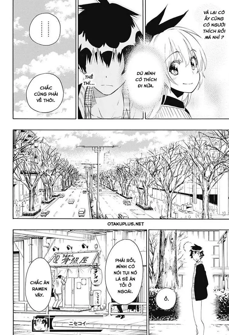 Nisekoi Chapter 197 - Trang 19