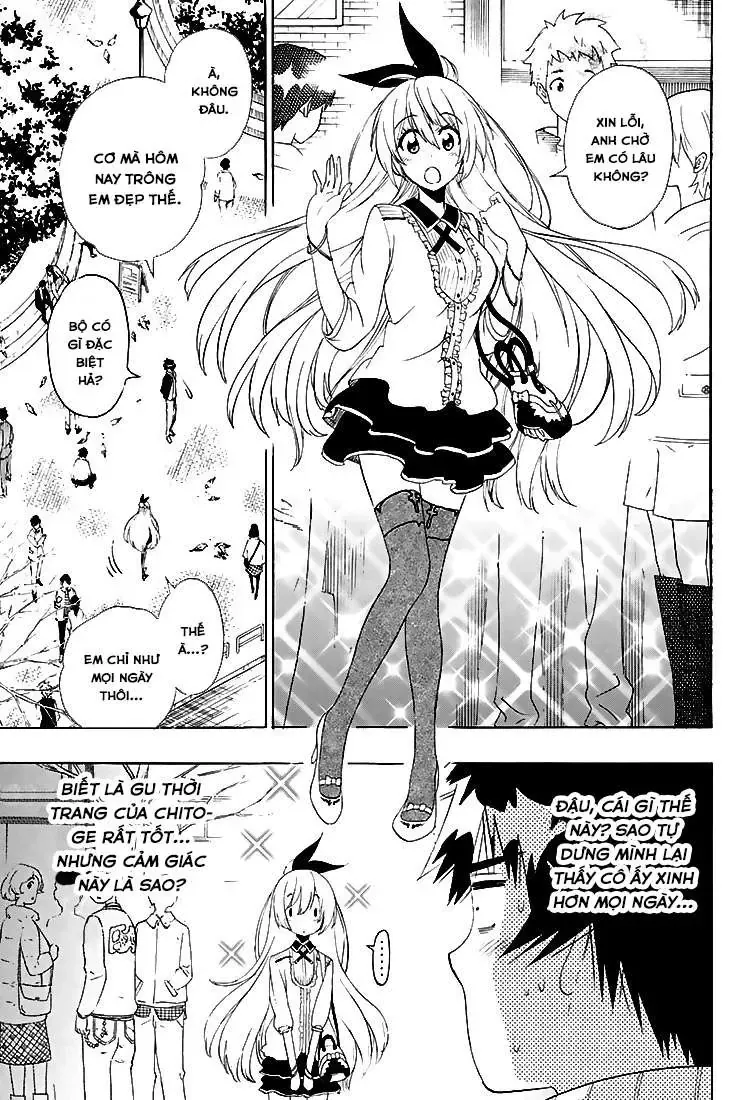 Nisekoi Chapter 197 - Trang 4