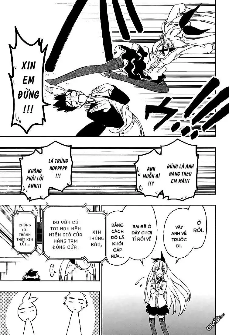 Nisekoi Chapter 198 - Trang 10