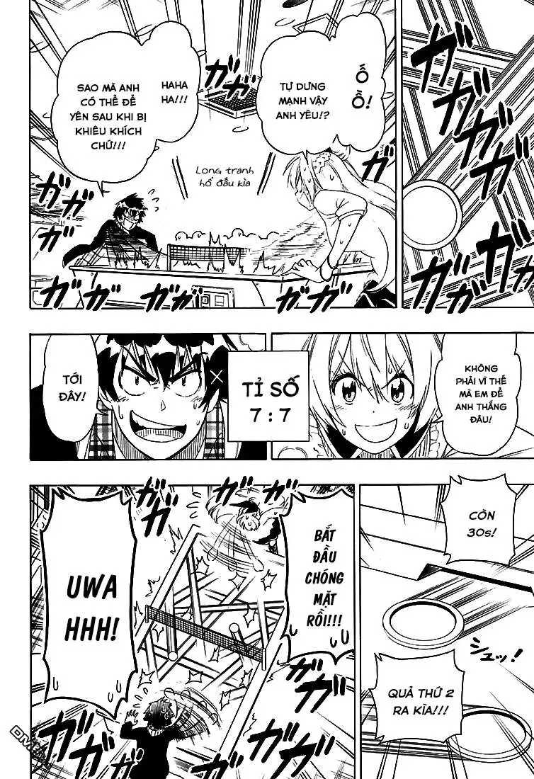 Nisekoi Chapter 198 - Trang 19