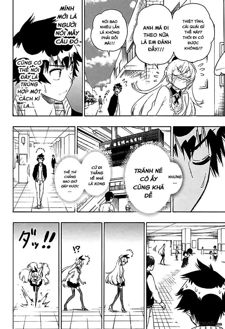 Nisekoi Chapter 198 - Trang 9