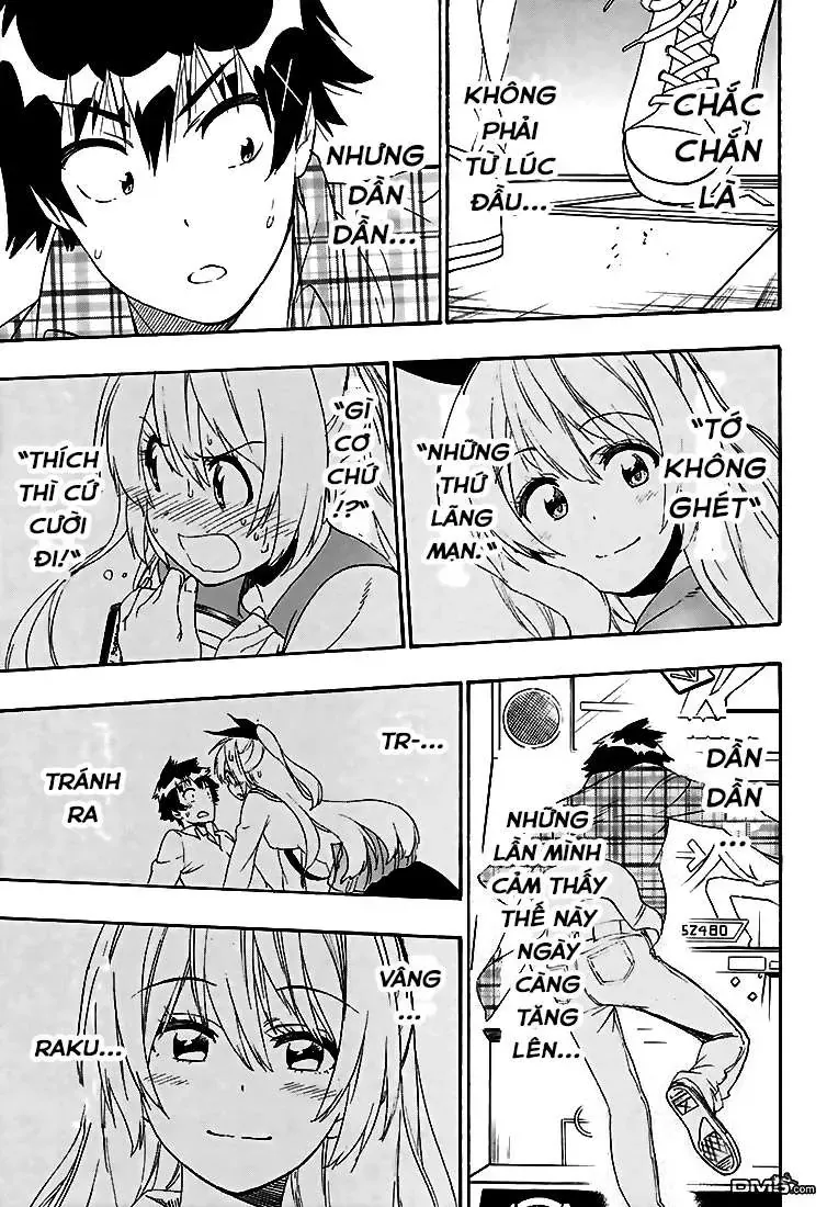 Nisekoi Chapter 199 - Trang 16