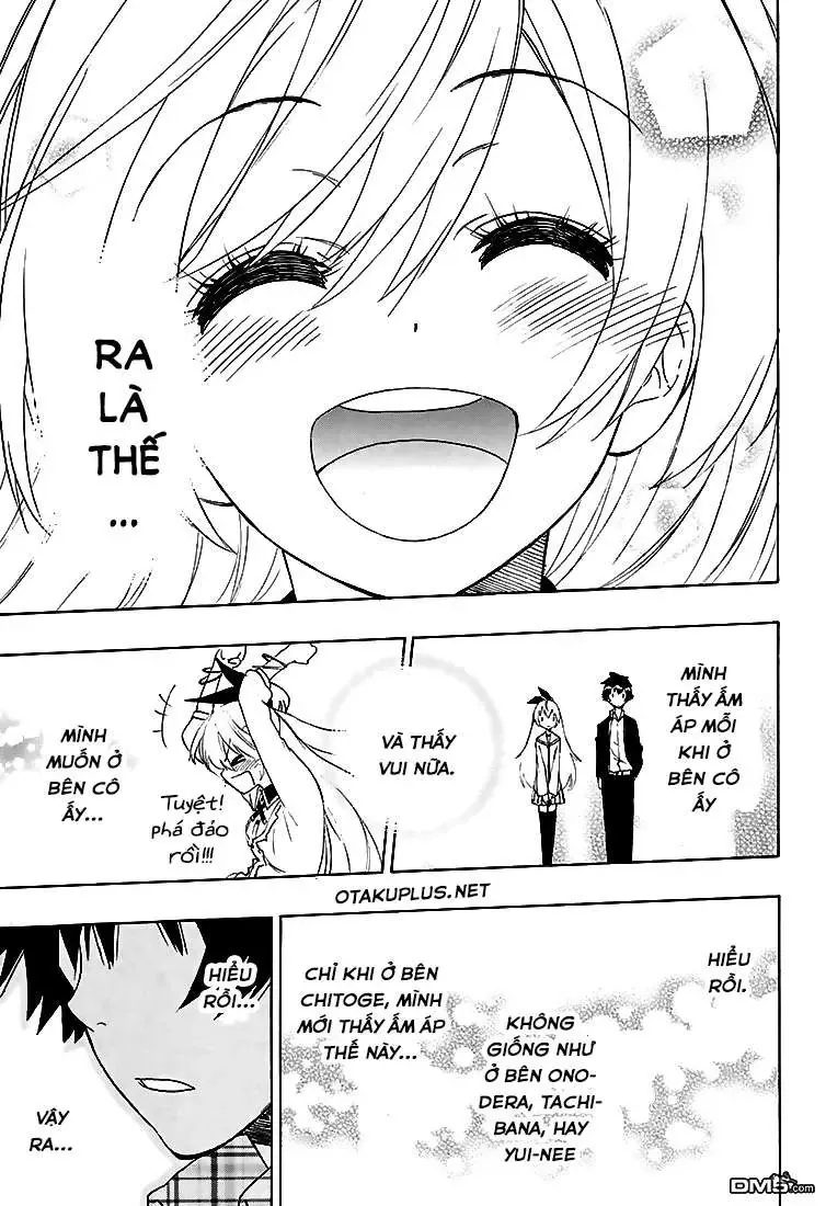 Nisekoi Chapter 199 - Trang 20
