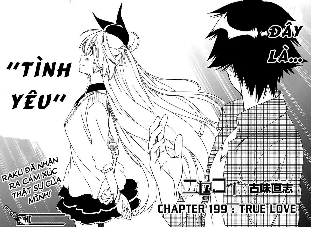 Nisekoi Chapter 199 - Trang 21