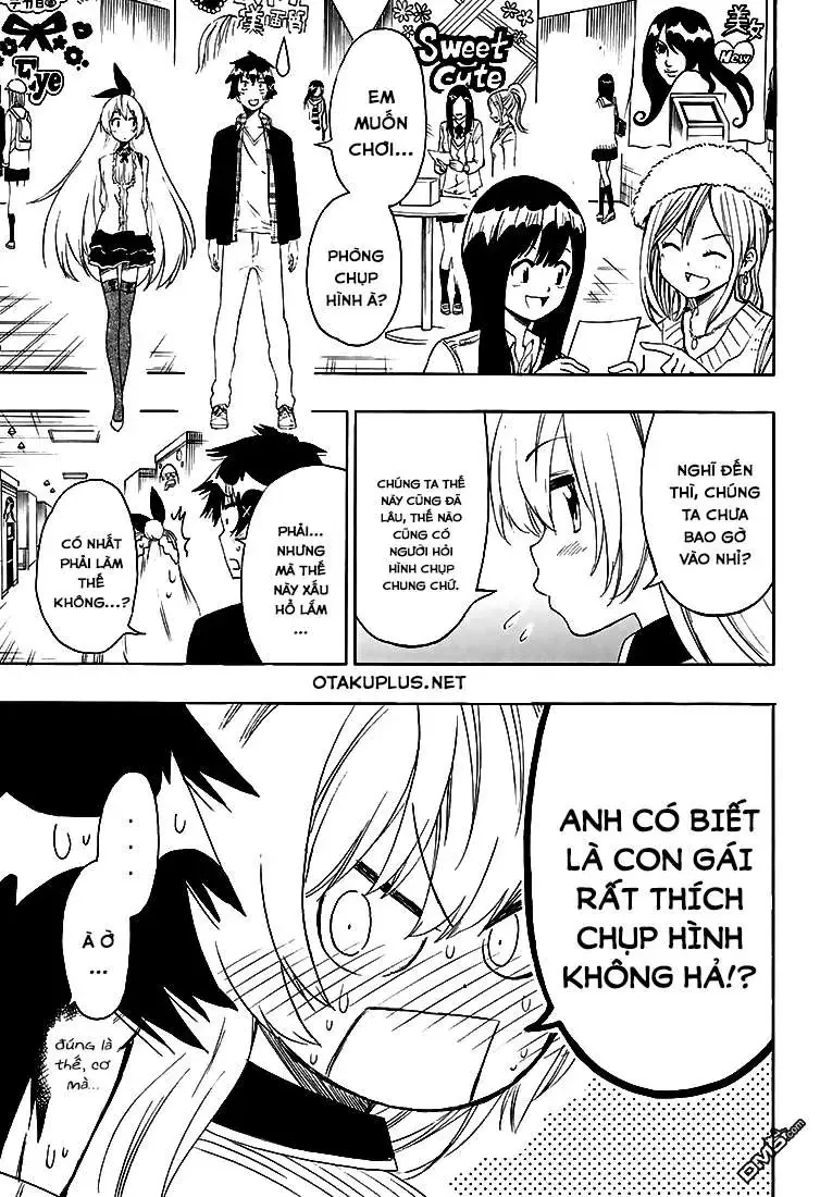 Nisekoi Chapter 199 - Trang 4