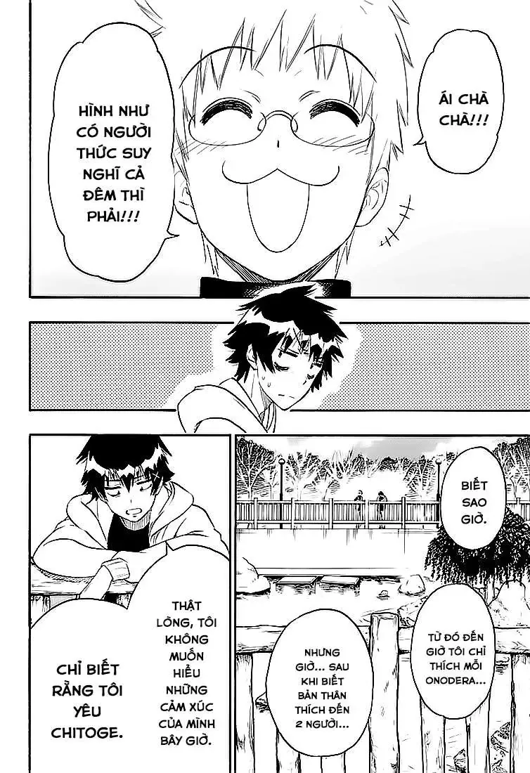 Nisekoi Chapter 200 - Trang 16