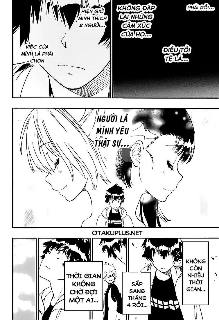 Nisekoi Chapter 200 - Trang 20