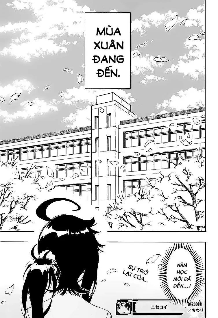Nisekoi Chapter 200 - Trang 21