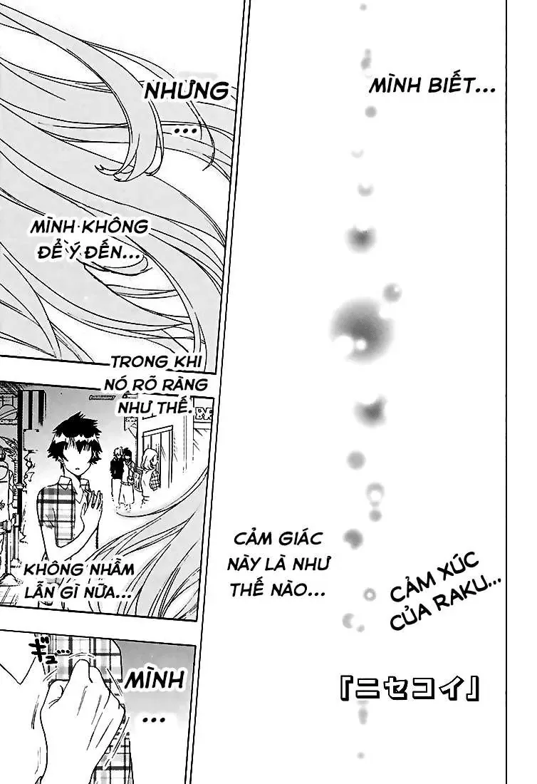 Nisekoi Chapter 200 - Trang 4