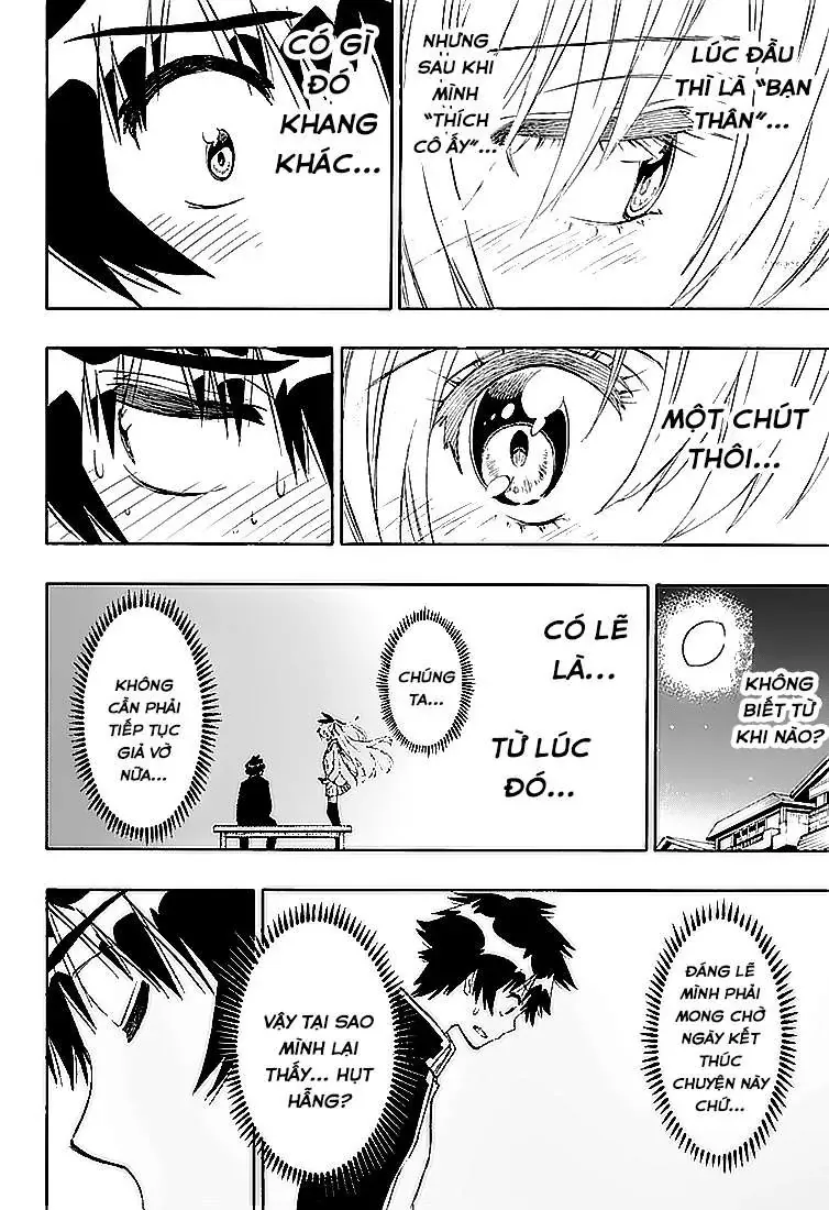 Nisekoi Chapter 200 - Trang 8