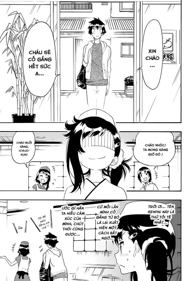 Nisekoi Chapter 201 - Trang 15