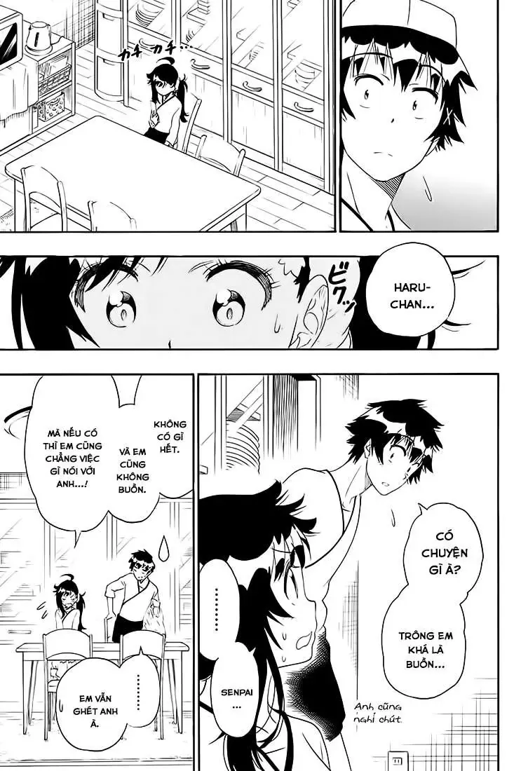 Nisekoi Chapter 201 - Trang 19