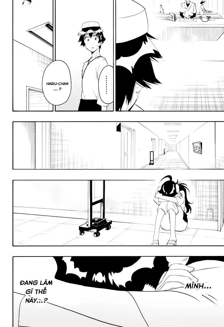 Nisekoi Chapter 202 - Trang 16