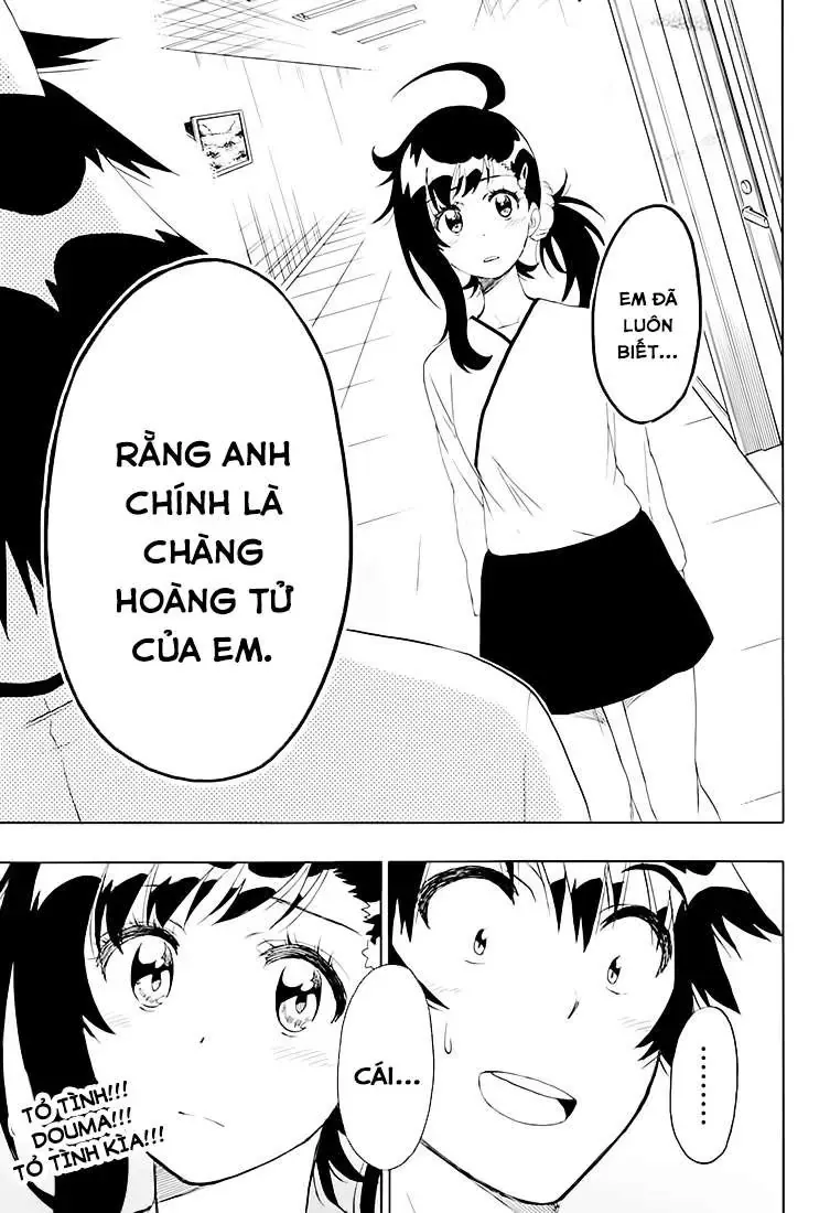Nisekoi Chapter 202 - Trang 23
