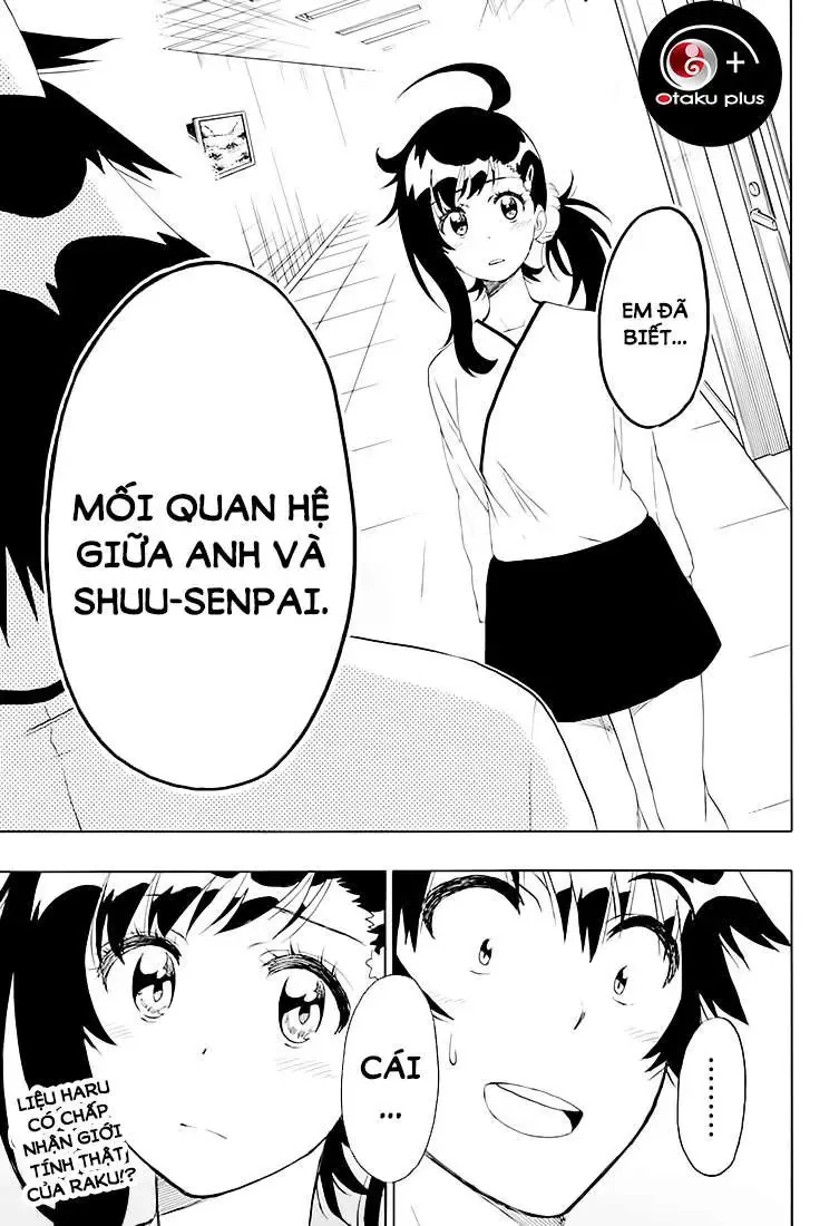 Nisekoi Chapter 202 - Trang 25