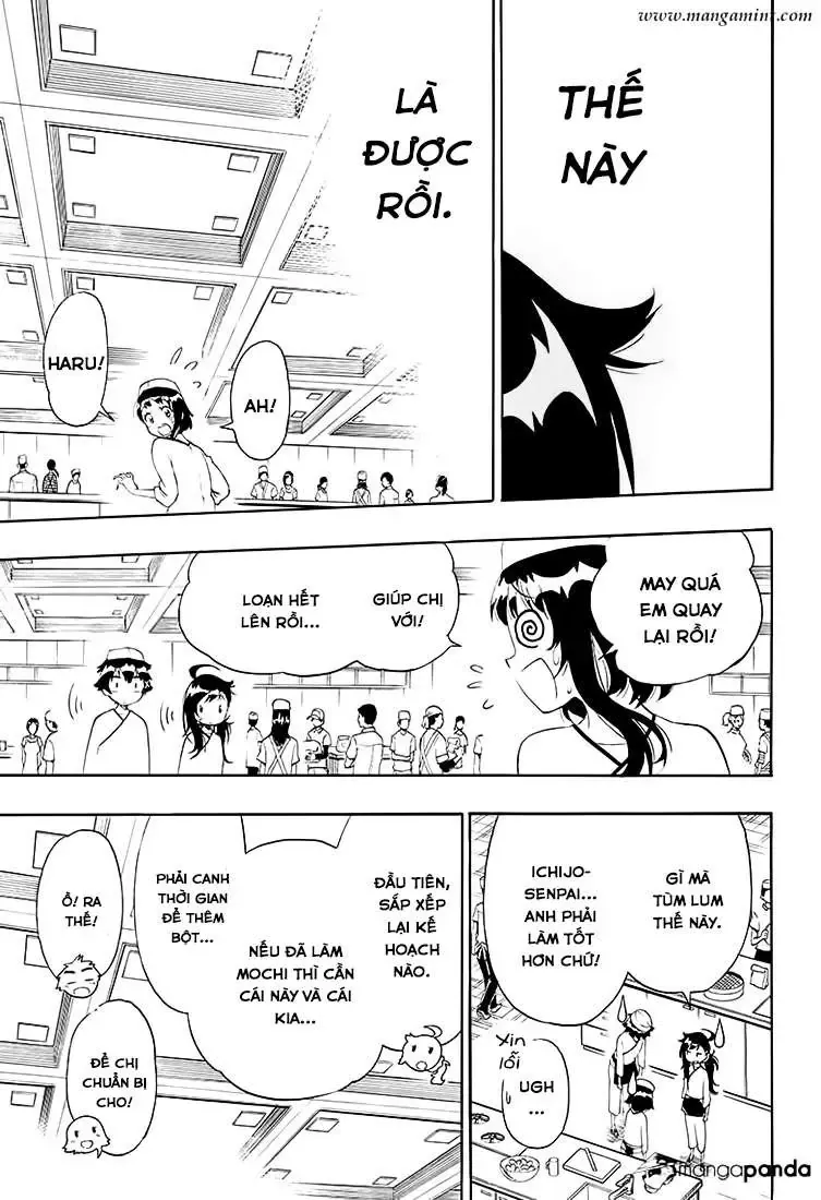 Nisekoi Chapter 203 - Trang 11