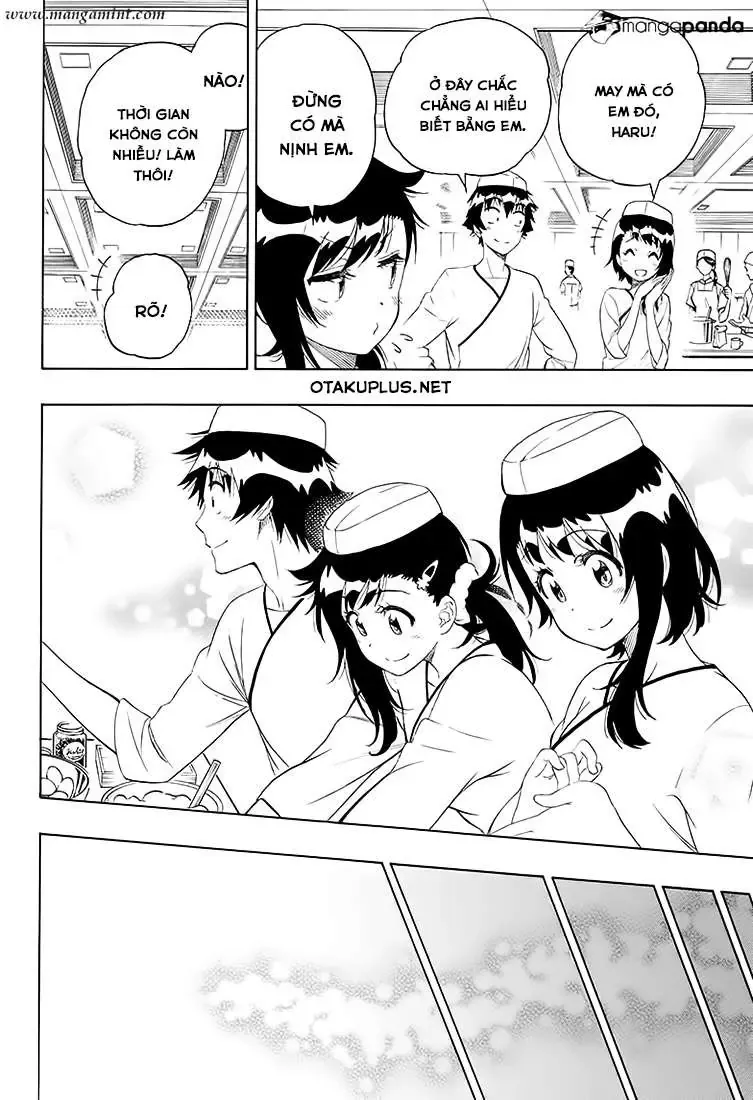 Nisekoi Chapter 203 - Trang 12