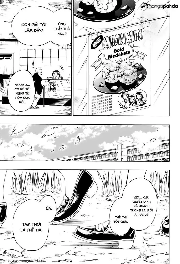 Nisekoi Chapter 203 - Trang 13