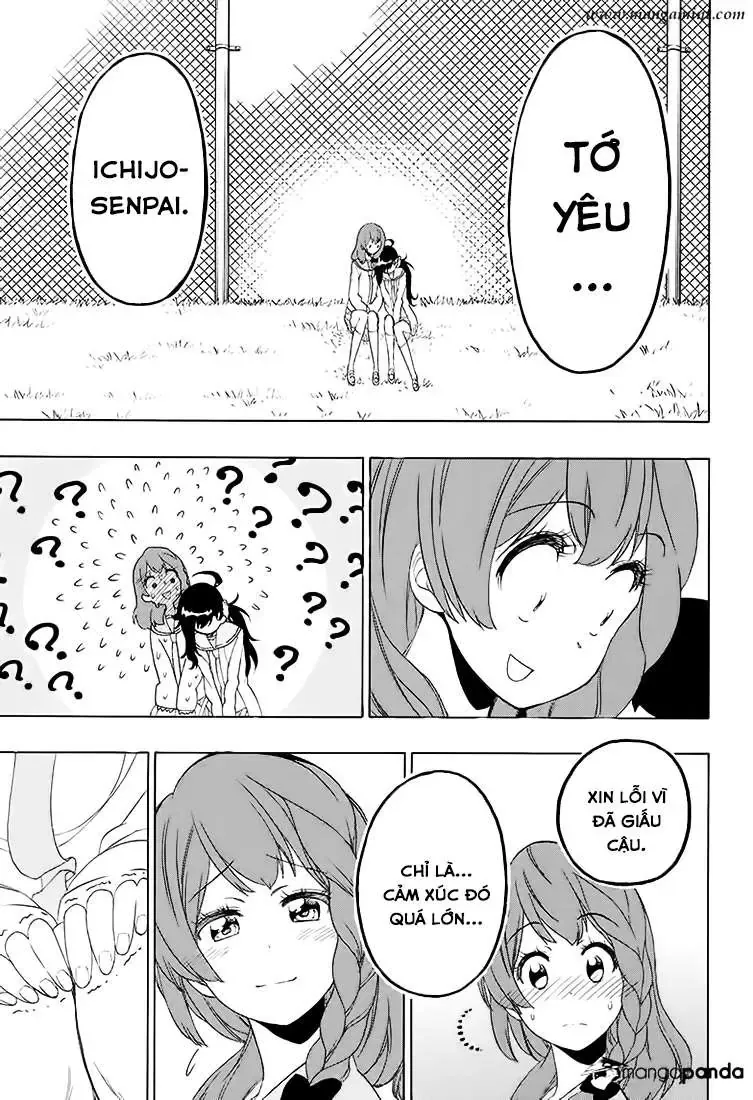 Nisekoi Chapter 203 - Trang 15