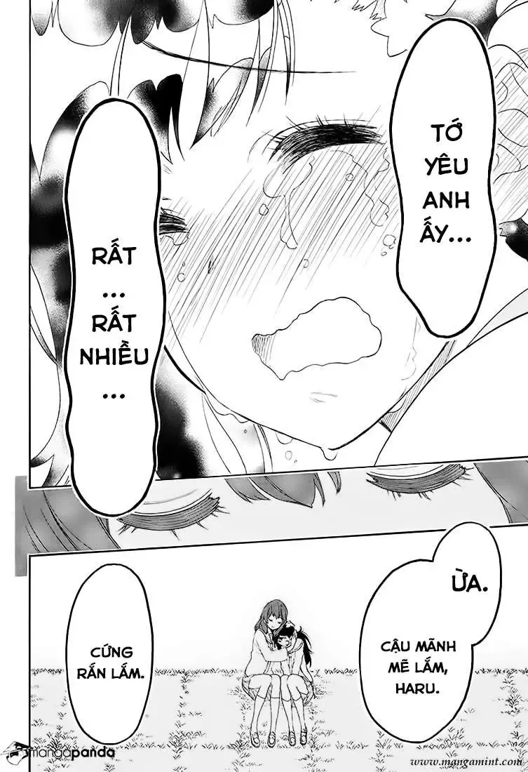 Nisekoi Chapter 203 - Trang 16