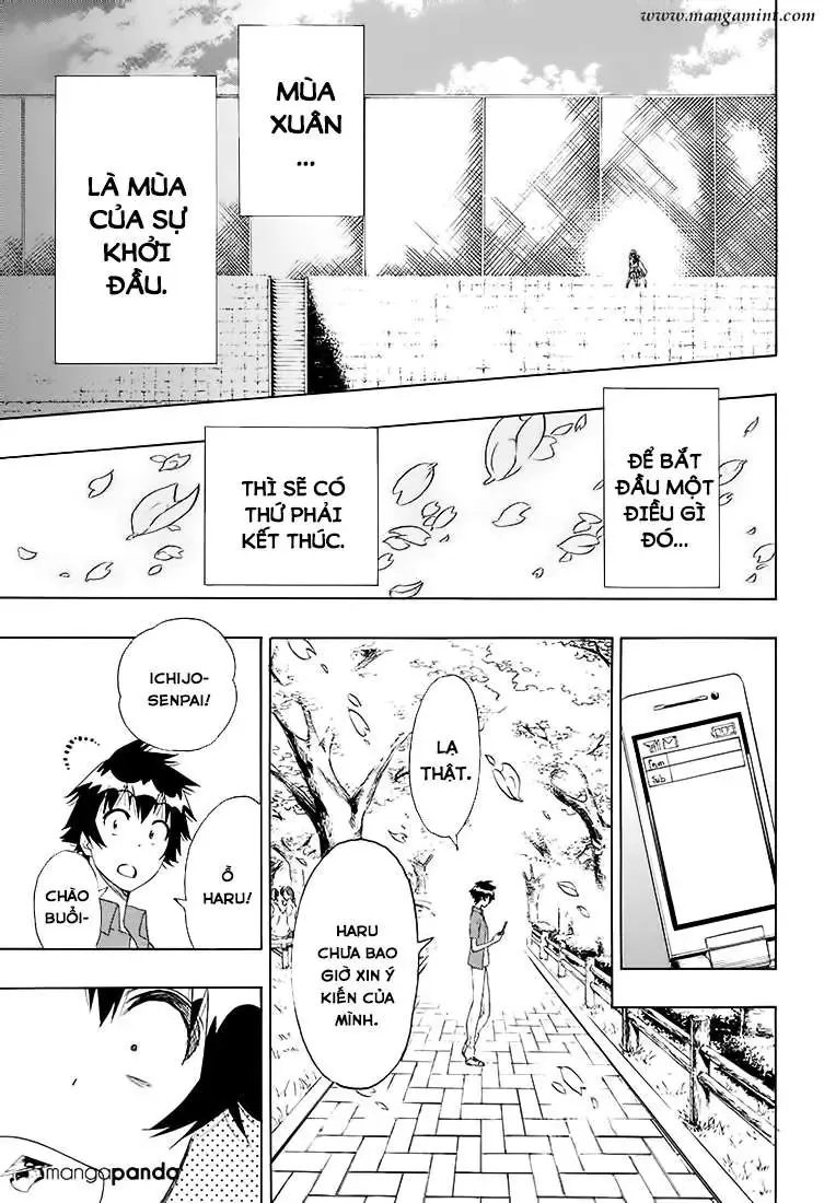 Nisekoi Chapter 203 - Trang 17