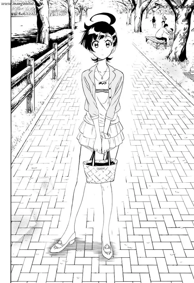 Nisekoi Chapter 203 - Trang 18