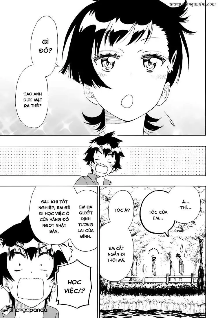 Nisekoi Chapter 203 - Trang 19