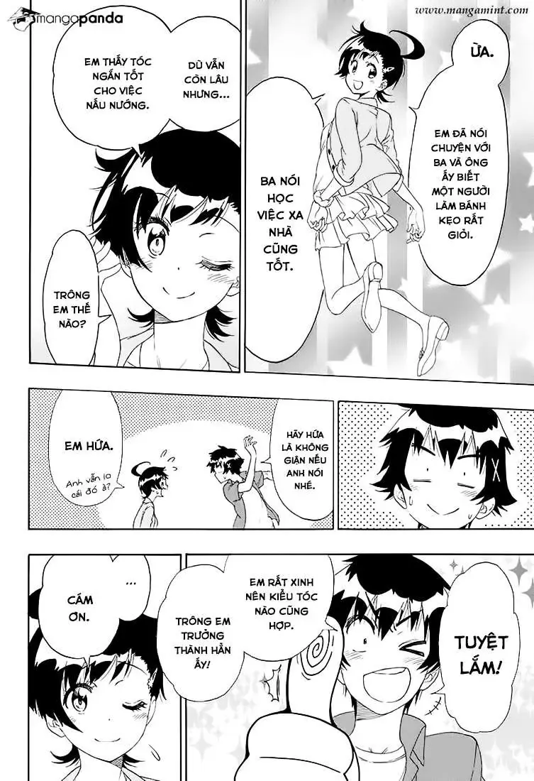 Nisekoi Chapter 203 - Trang 20
