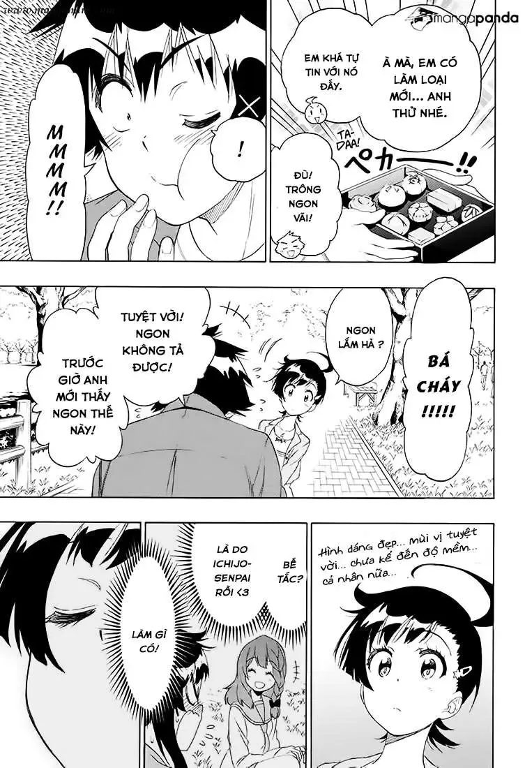 Nisekoi Chapter 203 - Trang 21