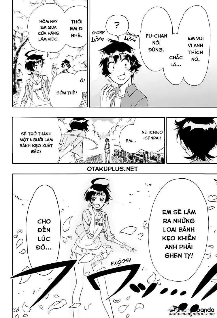 Nisekoi Chapter 203 - Trang 22