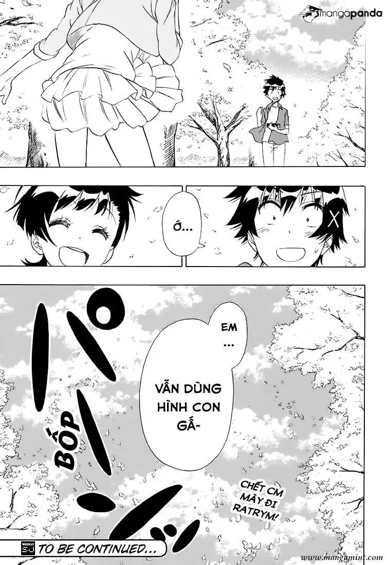 Nisekoi Chapter 203 - Trang 23