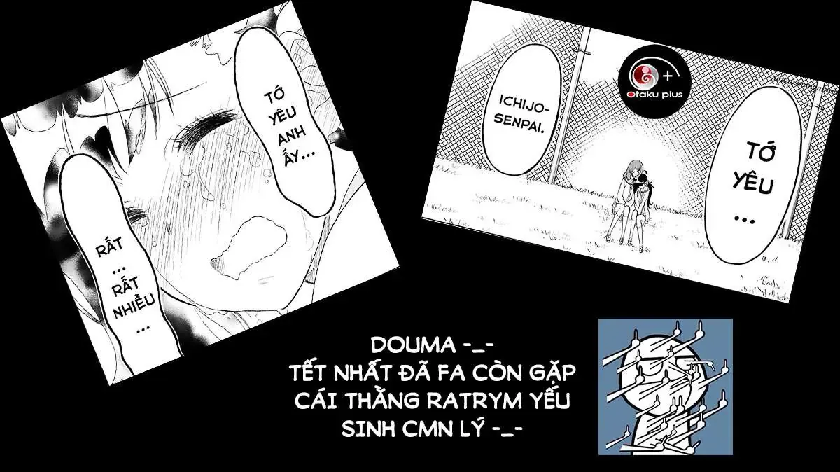 Nisekoi Chapter 203 - Trang 24