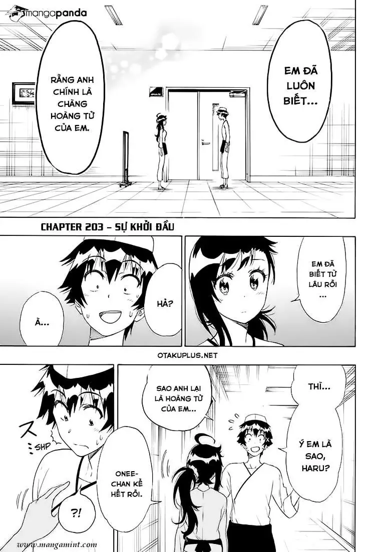 Nisekoi Chapter 203 - Trang 5