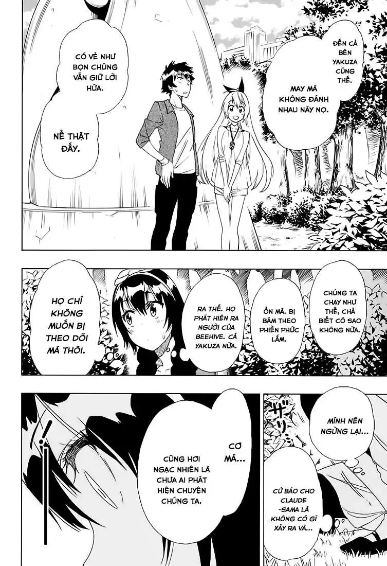 Nisekoi Chapter 204 - Trang 14