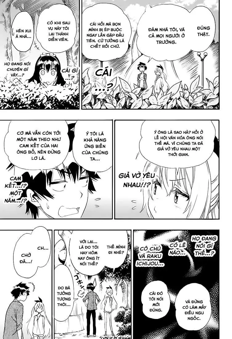 Nisekoi Chapter 204 - Trang 15