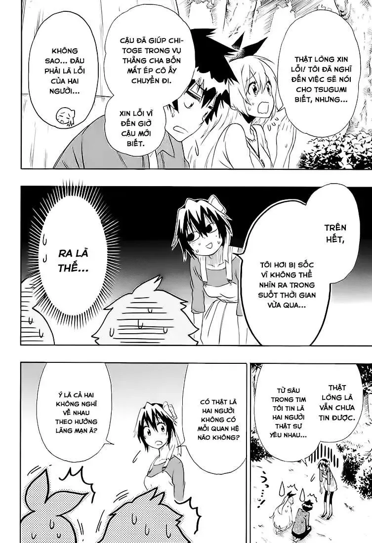 Nisekoi Chapter 204 - Trang 18