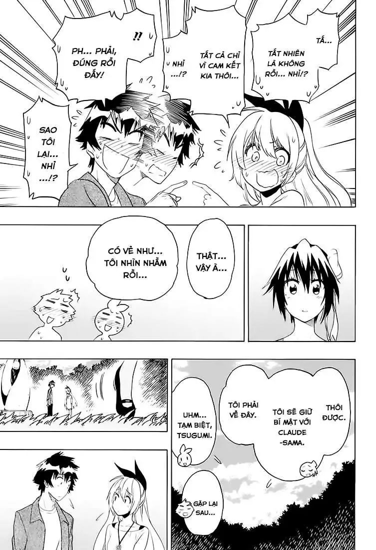 Nisekoi Chapter 204 - Trang 19