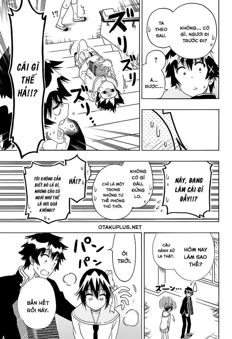 Nisekoi Chapter 205 - Trang 12