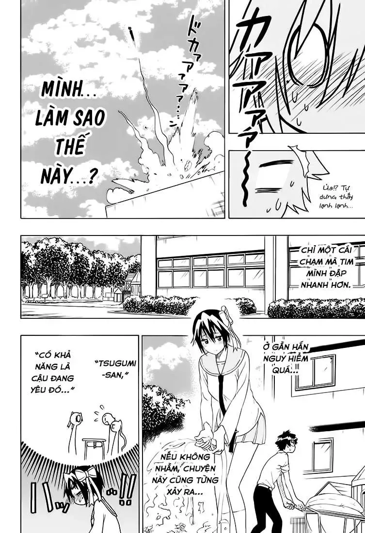 Nisekoi Chapter 205 - Trang 13