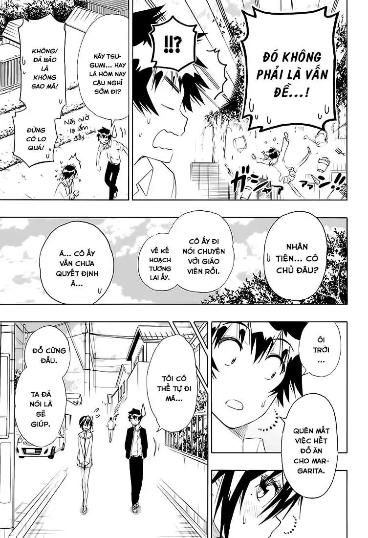 Nisekoi Chapter 205 - Trang 14