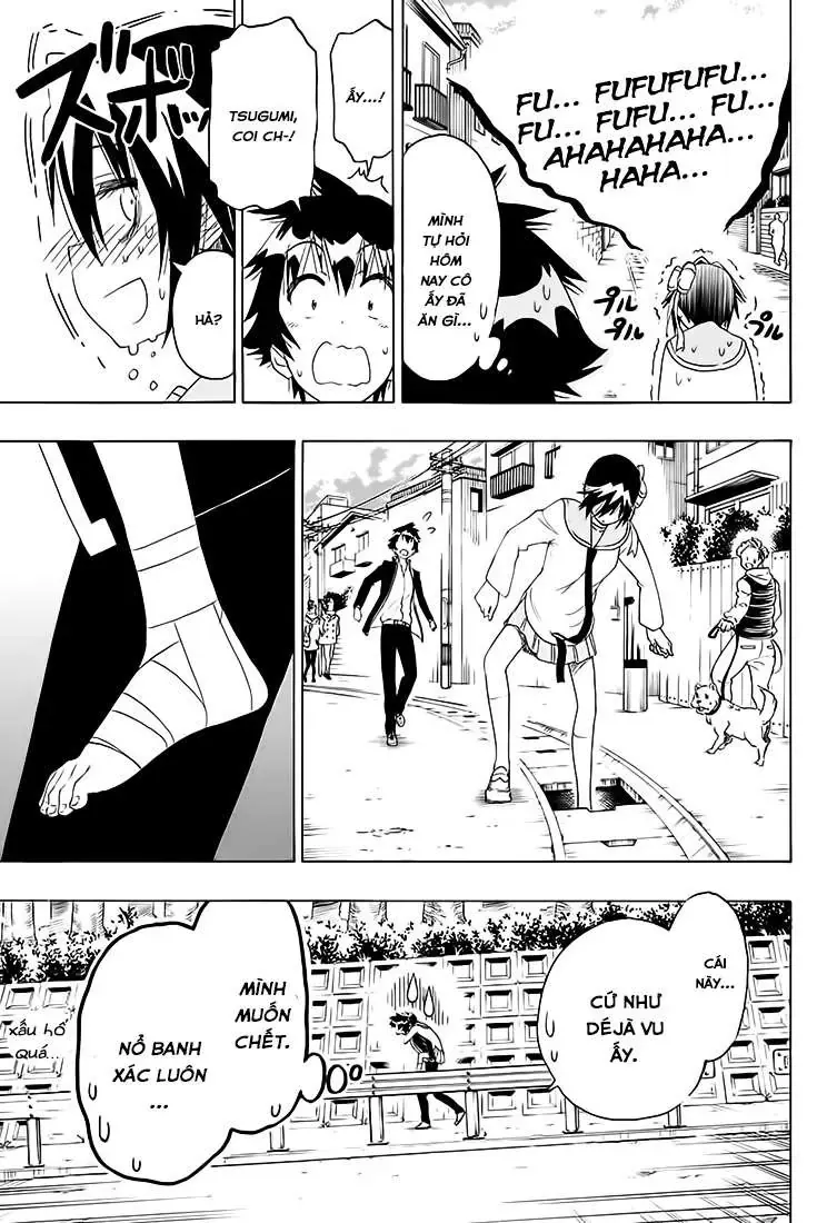Nisekoi Chapter 205 - Trang 16