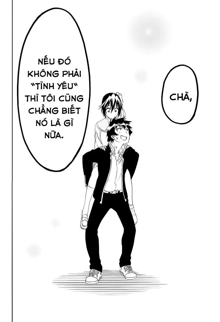 Nisekoi Chapter 205 - Trang 23