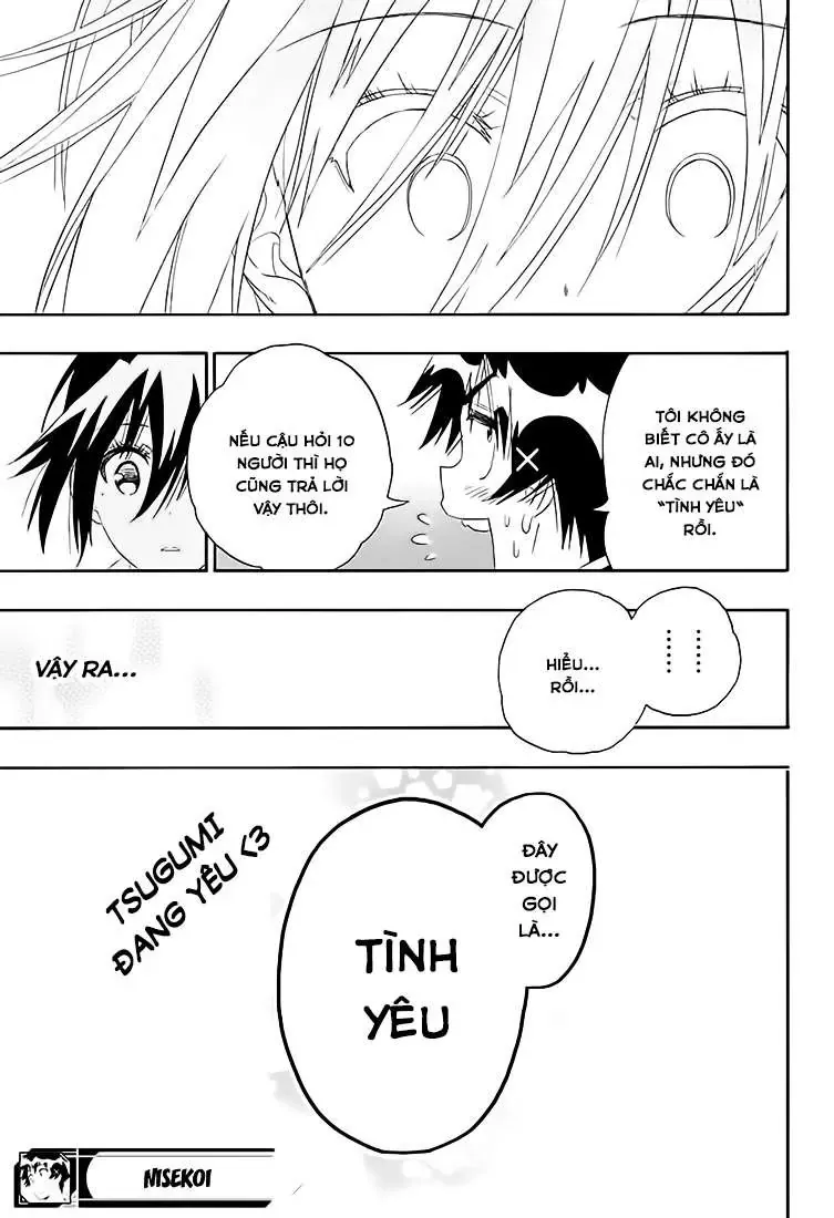 Nisekoi Chapter 205 - Trang 24